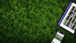 Tablets in grass