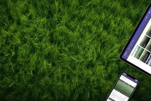 Tablets in grass